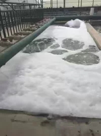 【廣東春鼎】污水處理工程_廣東春鼎環保科技有限公司