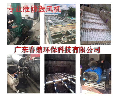 【廣東春鼎】維修羅茨鼓風機_廣東春鼎環保科技有限公司